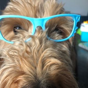 Meet your Posher, Carolyn